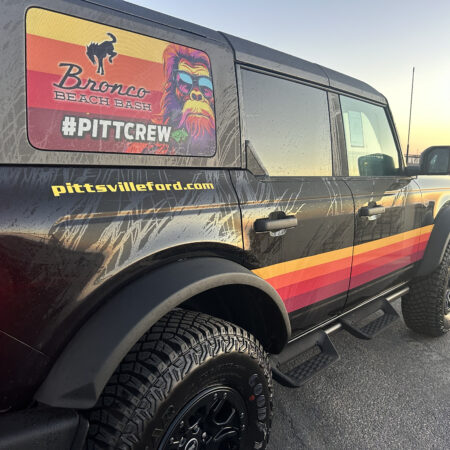 Pony Package (Basic)